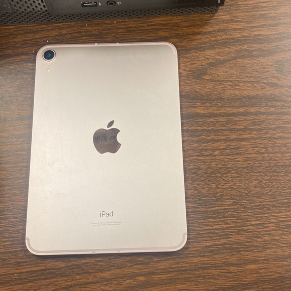 Pink 2020 iPad mini